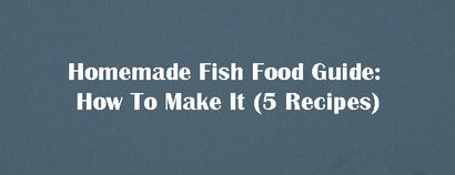 Selbst gemachter Fisch Food Guide How To Make It (5 Rezepte), Aquascape Sucht