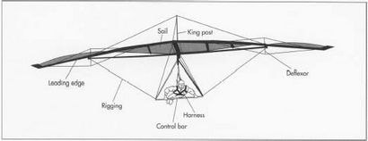 Hausgemachte Segelflugzeug Pläne hängen, woodproject