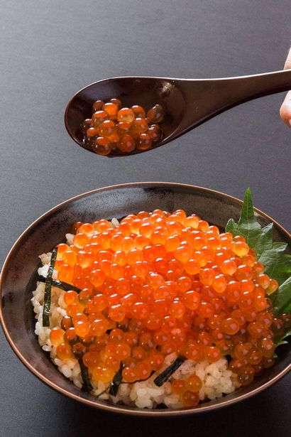 Maison Ikura (Caviar de saumon) - Techniques délicieux