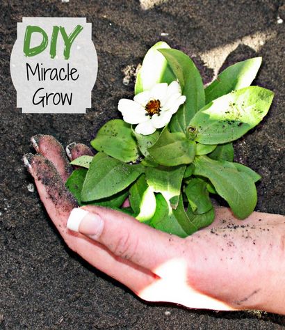 Home Made Miracle Grow - Faites votre propre - Le cuisinier Jardinage