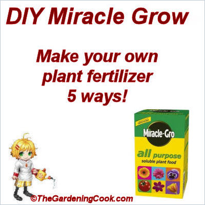 Home Made Miracle Grow - Faites votre propre - Le cuisinier Jardinage