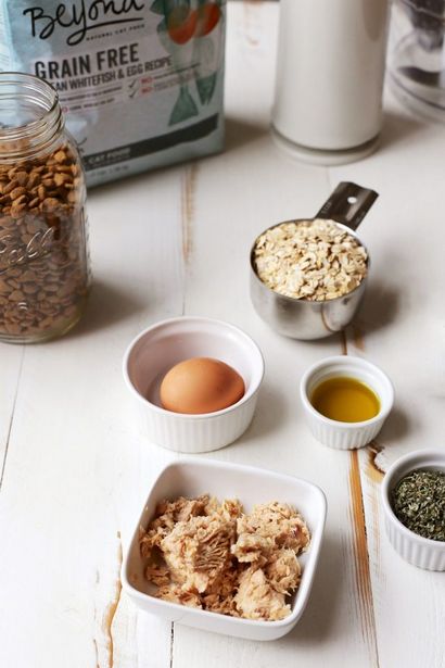 Hausgemachte Lachs und Oat Katzen-Leckerli, Freude der Baker