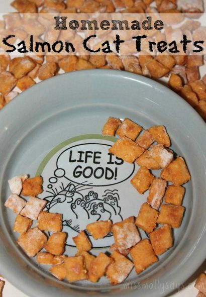Chat de saumon maison Treats Recette - Miss Molly dit (recette) Chat de saumon maison Treats Recette - Miss Molly dit