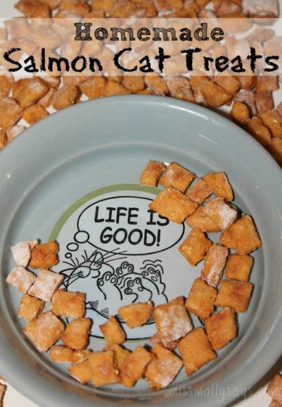 Chat de saumon maison Treats Recette - Miss Molly dit