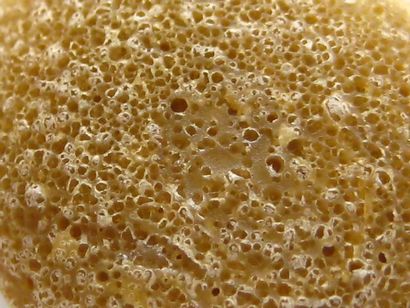 Honeycomb Oil BHO Budder Wax - Cannabis Konzentraten - Internationale Cannagraphic Magazin Foren