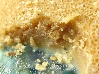 Honeycomb Oil BHO Budder Wax - Cannabis Konzentraten - Internationale Cannagraphic Magazin Foren