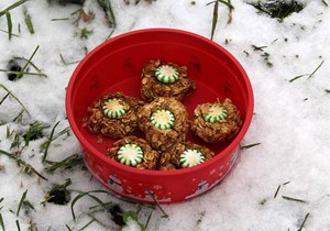 Friandises maison chevaux approuvés Recettes (traiter) Chevaux approuvés Recettes de friandises maison