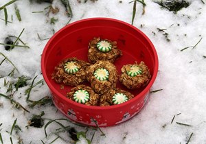 Chevaux approuvés Recettes de friandises maison