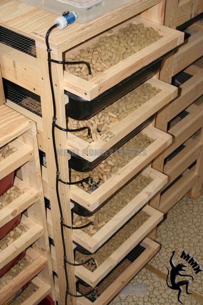 Logement et de l'Alimentation (éleveur python balle michigan) Logement et nourriture