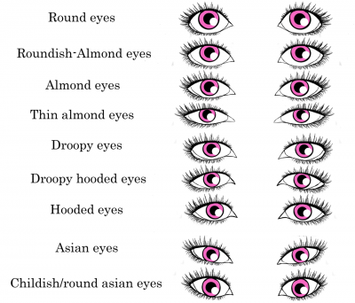 Comment faire une demande Crease Eyeshadow