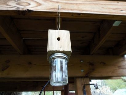 Comment construire un piège Carpenter Bee - Mon Frugal Accueil