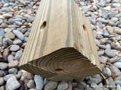 Comment construire un piège Carpenter Bee - Mon Frugal Accueil