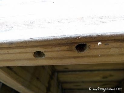 Comment construire un piège Carpenter Bee - Mon Frugal Accueil