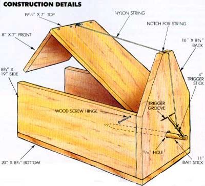 Wie ein lebendes Tier Trapp bauen - Do-It-Yourself - Mutter Erde Nachrichten