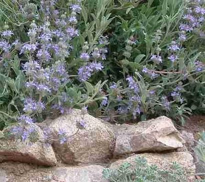 Comment construire un simple, pas cher, jardin mur de soutènement