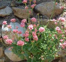 Comment construire un simple, pas cher, jardin mur de soutènement