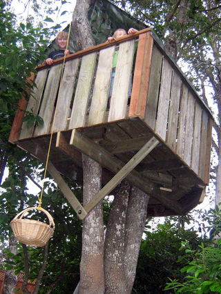 Comment construire une cabane dans un arbre 16 étapes (avec photos)