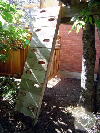 Comment construire une cabane dans un arbre 16 étapes (avec photos)