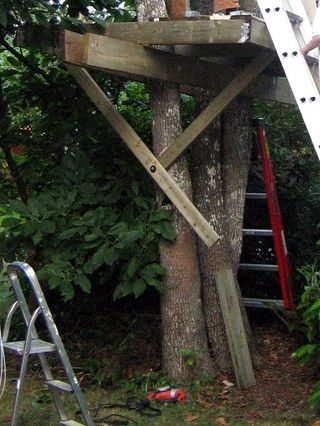 Comment construire une cabane dans un arbre 16 étapes (avec photos)