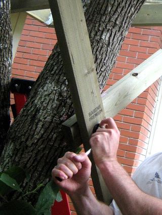 Comment construire une cabane dans un arbre 16 étapes (avec photos)