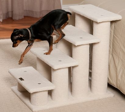 Wie baut Hund Treppen Eines Spaß und nützliches DIY-Projekt