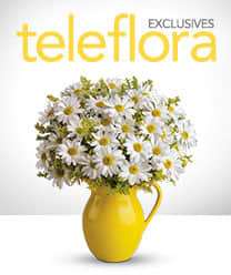 Wie für frische Blumen interessieren So sie länger dauern, Teleflora