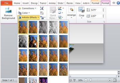 Comment faire pour créer une image 3D Flip Book dans PowerPoint