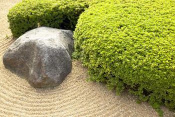 So erstellen Sie einen Mini-Zen-Garten, Heimleiter, SF-Tor