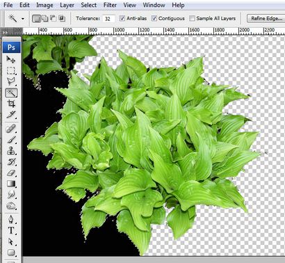 Comment faire pour créer une composition spectaculaire dans Photoshop Nature