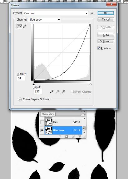 Comment faire pour créer une composition spectaculaire dans Photoshop Nature