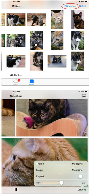 So erstellen Instant Diashows in Fotos für Mac und iOS, Macworld