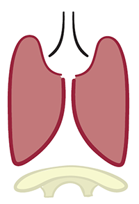 Comment faire du yoga de la respiration profonde