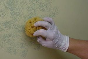 Wie kommen Sie Sponge Malerei auf Wände und Möbel