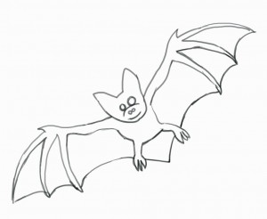 Comment dessiner une chauve-souris