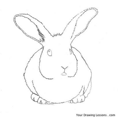 Comment dessiner un lapin Bunny - vos leçons de dessin