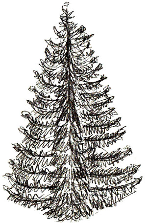 Wie zeichnet man einen Weihnachtsbaum - Draw Schritt für Schritt