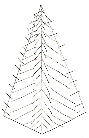 Wie zeichnet man einen Weihnachtsbaum - Draw Schritt für Schritt