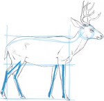 Comment dessiner un blocage cerf dans la forme de base - John Muir Lois