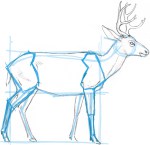 Comment dessiner un blocage cerf dans la forme de base - John Muir Lois