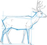 Comment dessiner un blocage cerf dans la forme de base - John Muir Lois
