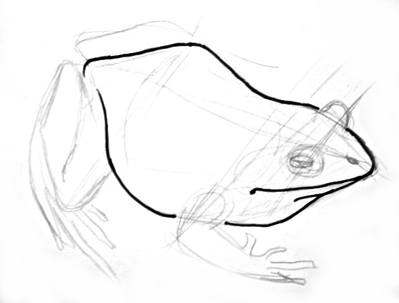 Comment dessiner un Frog_1