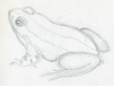 Comment dessiner une grenouille rapidement