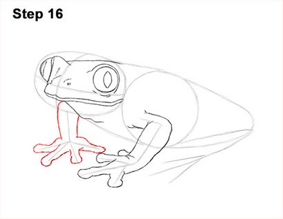 Comment dessiner une grenouille (rouge-Eyed Tree Frog)