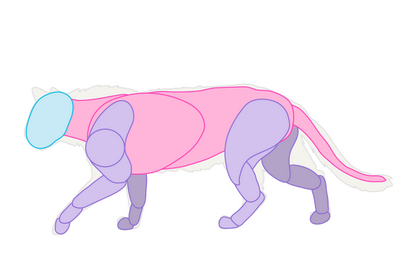 Wie zeichnet man Tiere Katzen und ihre Anatomie