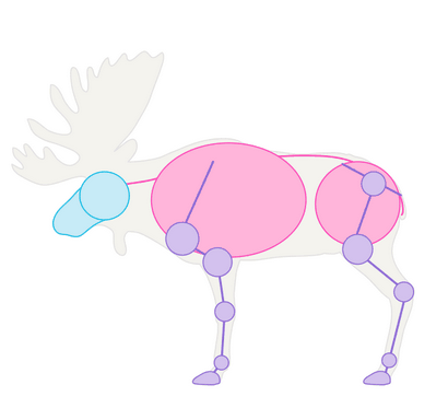 Wie zeichnet man Tiere Deer - Arten und Anatomie