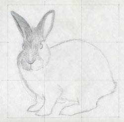 Comment dessiner un Rabbit_1