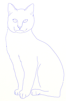 Comment dessiner un chat réaliste - Dessiner étape par étape