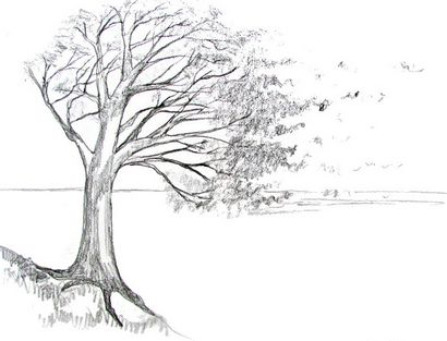 Comment dessiner un arbre - Happy Family Art