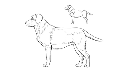 Wie zeichnet man Hunde-Details machen den Unterschied