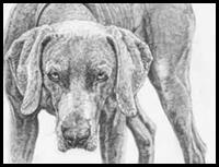 Comment dessiner Chiens Dessin Tutoriels & amp; Dessin & amp; Comment tirer les leçons Chiens et Chiots Dessin étape par